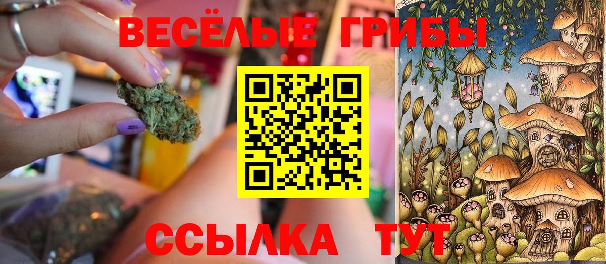 Бутират Джанкой