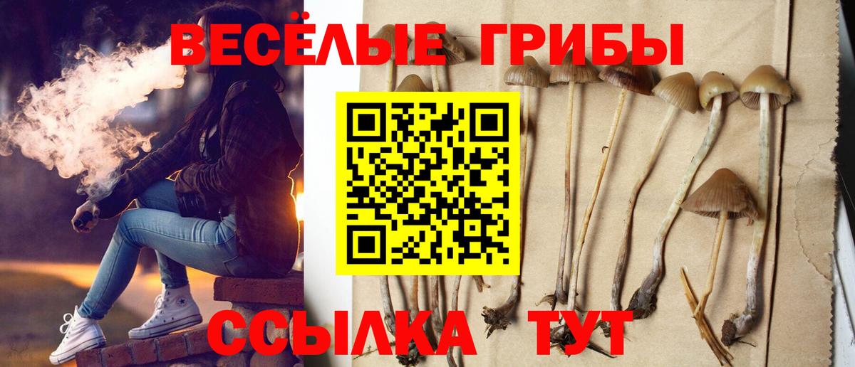 Псилоцибиновые грибы Psilocybine cubensis Джанкой