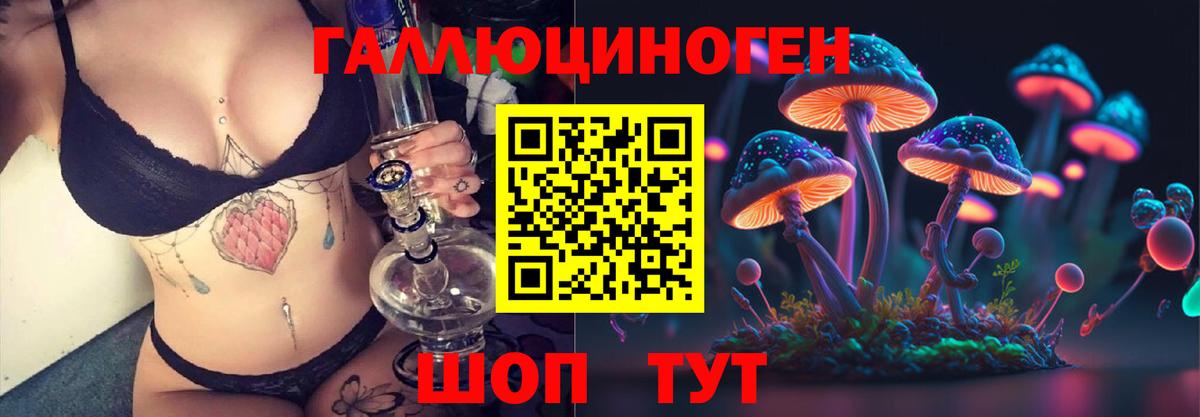 Галлюциногенные грибы Psilocybe Джанкой