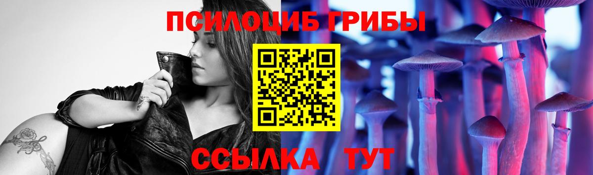 Джанкой  Псилоцибиновые грибы мицелий  Вход с VPN  Псилоцибиновые грибы Cubensis 