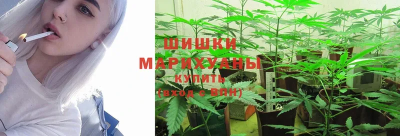 купить наркотик  Джанкой  МАРИХУАНА THC 21% 